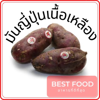 มันญี่ปุ่นเนื้อเหลือง  Japanese sweet potato ราคาถูก