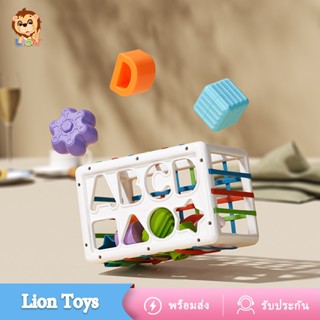 LionToys ของเล่นเด็ก บล็อกตัวต่อสีรุ้ง ใส่รูปทรงต่างๆเข้าไปในกล่องผ่านยางยืด ของเล่นเสริมพัฒนาการเด็ก