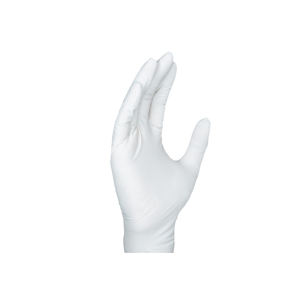 รูปภาพ 2