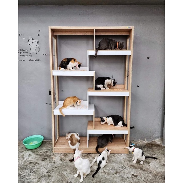 Besta บ้านแมว คอนโดแมว ชั้นวางเอนกประสงค์เดอะเทรนเนอร์