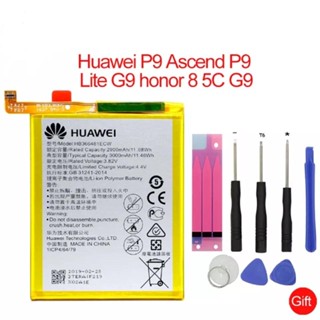 รับประกัน 6 เดือน - Battery Huawei P9 P9 Lite 3000mAh แบตเตอรี่ หัวเหว่ย พร้อมอุปกรณ์ ไขควง สำหรับเปลี่ยน (HB366481ECW)