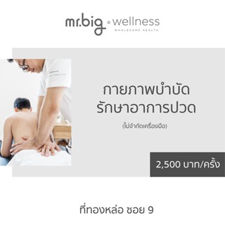 โปรแกรมกายภาพบำบัดรักษาอาการปวด ที่ mr.big wellness สาขาทองหล่อซอย 9