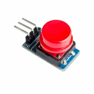 โมดูลปุ่มกด Large Push Button Module