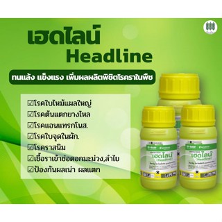 เฮดไลน์ ขนาด250ml กำจัดเชื้อรา ยาเย็น 4.0