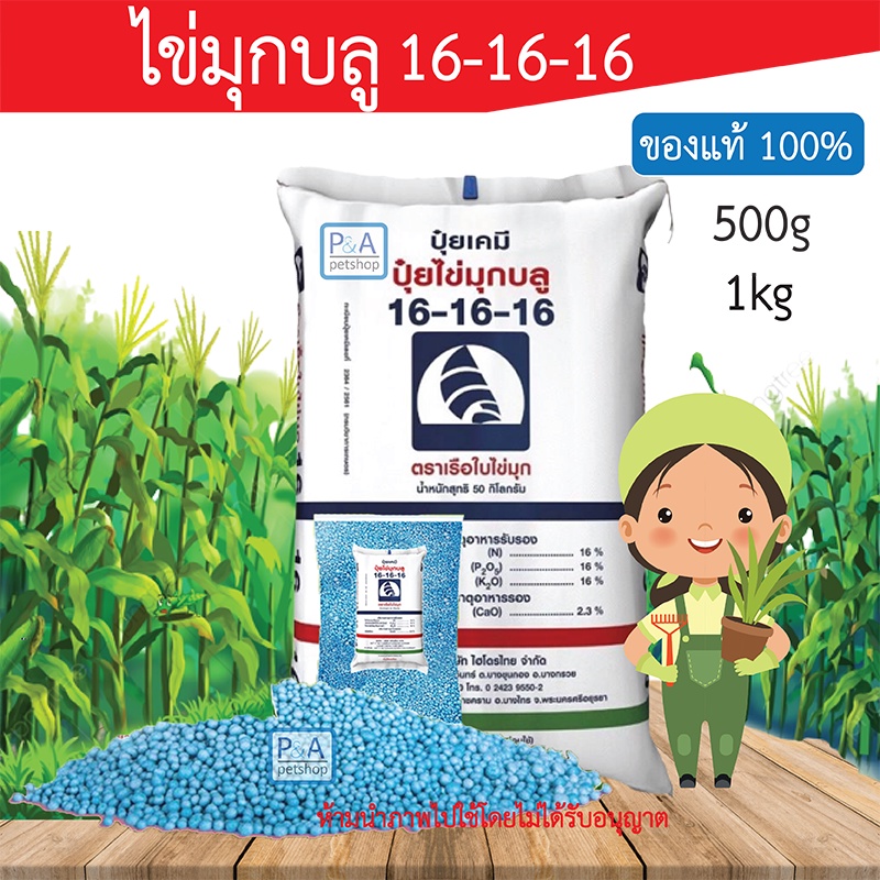 พร้อมส่ง!! ปุ๋ยเคมี ปุ๋ยสูตร 16-16-16 / 46-0-0 _แบ่งขาย ครึ่งโล & 1 กิโลกรัม [ตราเรือใบไข่มุก ของแท้