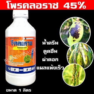 จีคลอราซ โพรคลอราซ 1 ลิตร 💥 โพรคลอราช น้ำครีม ยาเย็น กำจัดโรค ราดำ โรคเน่า กุ้งแห้ง ในพริก แอนแทรคโนส