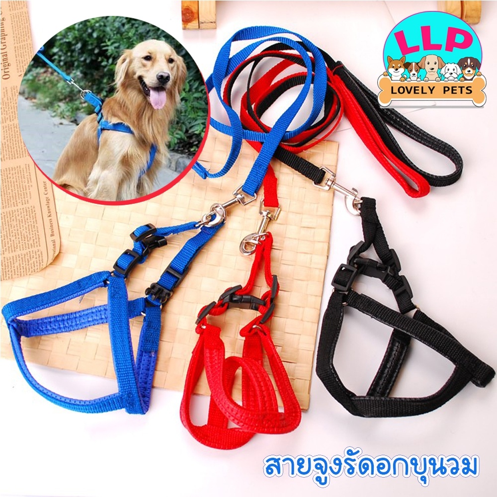 [LLP] สายจูง+รัดอกหนังนุ่มรองใต้ท้องกันเจ็บ เหมาะสำหรับสุนัขทุกสายพันธ์ุ หลายขนาด