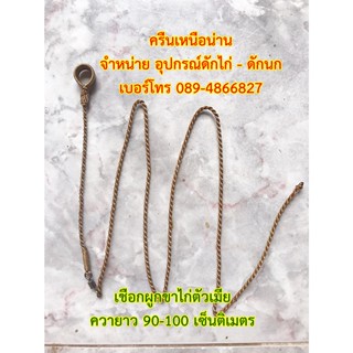 เชือกผูกขาไก่ตัวเมีย ยาว 90-100 เซ็นติเมตร