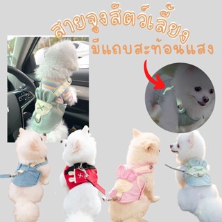 🐶 สายจูงสัตว์เลี้ยง 🐶  สายจูงแมว สายจูงหมา เชือกจูงสัตว์เลี้ยง มีกระดุม ที่จูงสัตว์เลี้ยง พร้อมแถบสะท้อนแสง