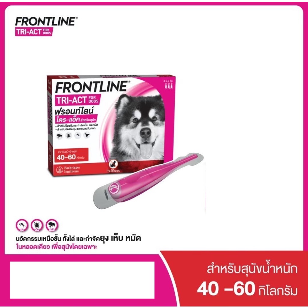 Frontline plus pantip best sale