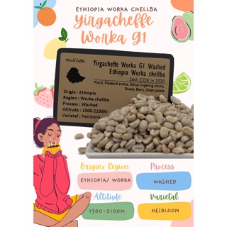 พร้อมส่ง เมล็ดกาแฟดิบ Yirgacheffe Worka G1 Washed process/ เมล็ดกาแฟนอก/ เมล็ดกาแฟสารเอธิโอเปีย