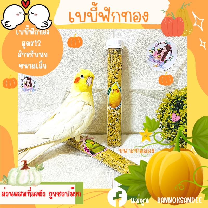 ขนมปังนกเบบี้ สูตร12 เนื้อฟักทองอบกรอบขนาดทดลอง 40กรัม 💢กรุณาเลื่อนลงอ่านรายละเอียดด้านร่างก่อนสั่งชื้อนะคะ💢