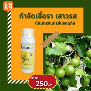 เสาวรส ใบไหม้ ผลจุดสีน้ำตาล กำจัดโรคเสาวรส จากเชื้อราต่างๆ ปลอดสารพิษ ไอเอส และ FK-T(ใช้ได้ทุกพืช)โดย FK