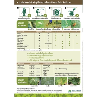 GGEW เมล็ดพันธุ์ซฟ แตงกวาไมโครซี 306 ตราศรแดง Cucumber Micro C 306