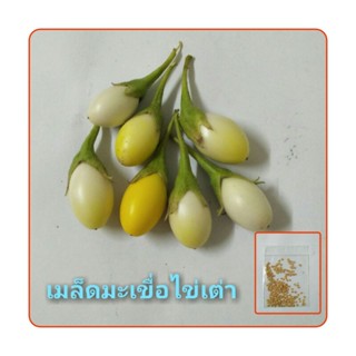 เมล็ดพันธุ์มะเขือไข่เต่า  200 เมล็ด