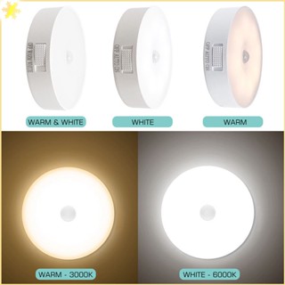 [LBE] Motion Sensor Light Led Nightlights Usb ชาร์จไฟกลางคืนโคมไฟติดผนังสำหรับบันไดห้องโถงตู้เสื้อผ้าตู้ Light