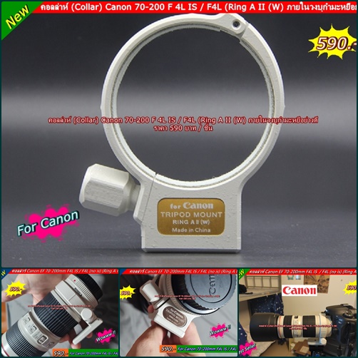 คอลล่าห์ Canon 70-200mm F4L IS / 70-200mm F4L (No IS) / 200mm F2.8 / 300mm F4L / 400mm F5.6L / 80-20