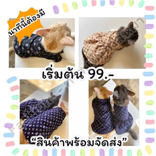 เสื้อผ้าน้องหมาน้องแมวสไตล์แฟชั่นบนรันเวย์