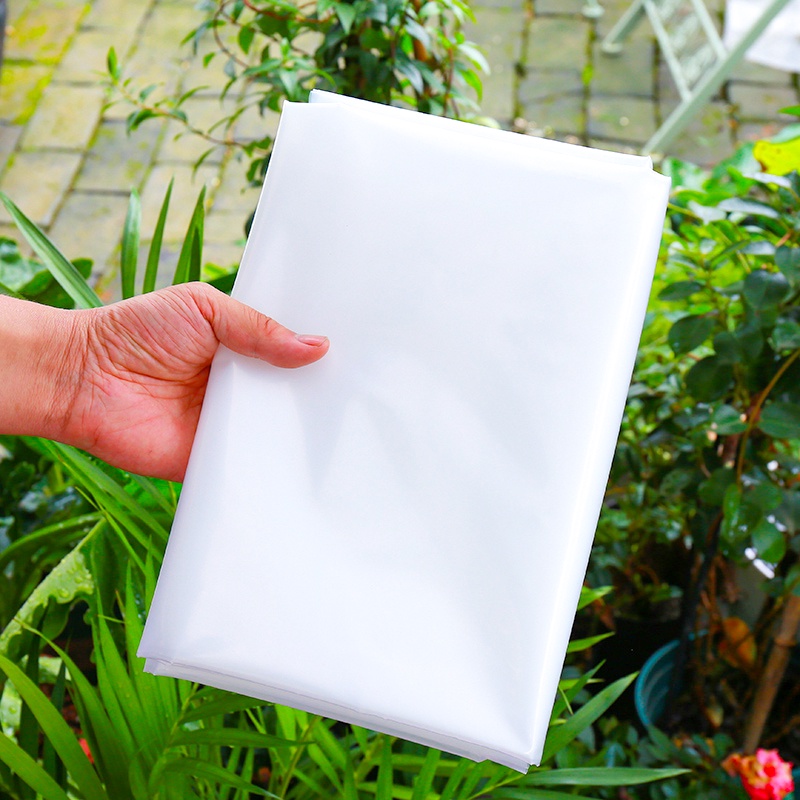 พลาสติกโรงเรือน พลาสติกใส พลาสติกคลุมโรงเรือน กันฝนgreenhouse หนา 150 ไมครอน UV7% โรงเรือนแคคตัส พลาสติกปูบ่อ กันสาด6×10 - รูปที่ 7