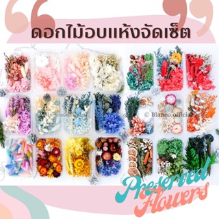 ดอกไม้อบแห้งจัดเซ็ต พรีเซิร์ฟ ดอกไม้แห้ง ดอกไม้จัดเซ็ท Preserved ดอกไม้DIY