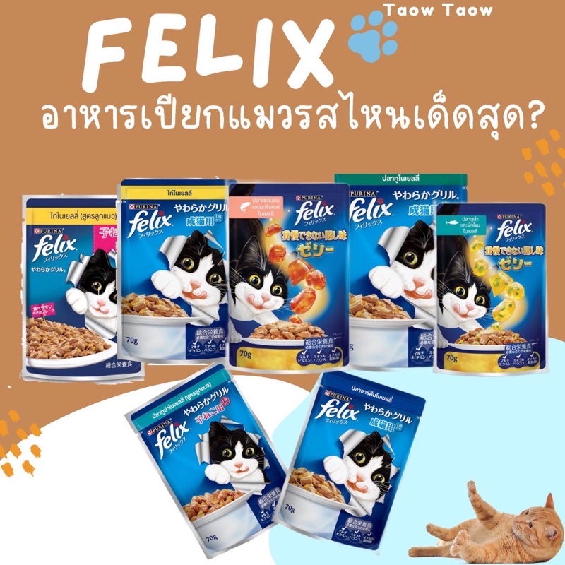 Felix เฟลิกซ์ อาหารแมวแบบเปียก 70g จากเพียวริน่า