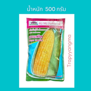 เมล็ดข้าวโพดหวาน หวานสวีท ตราตะวันต้นกล้า ขนาด500กรัม เมล็ดพันธุ์ข้าวโพด หมดอายุ 05/2566 ทนทานต่อโรค ลำต้นแข็งแรง