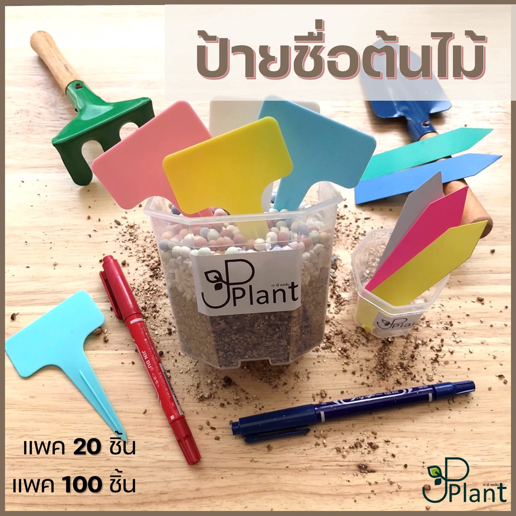 ป้ายชื่อต้นไม้ แบบตัว I แพค 20-100 ชิ้น ป้ายพลาสติก PP ป้ายต้นไม้ ป้ายแคคตัส ป้ายแท็ก ป้ายชื่อสวน