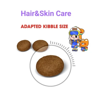 Royal Canin Hair & Skin Care 2kg โรยัลคานิน อาหารแมว บำรุงเส้นขนและผิวหนัง ถุงขนาด 2 กิโลกรัม