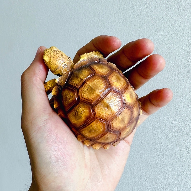Baby Sulcata figurine โมเดลเต่าซูลคาต้า เรซิ่น โมเดลเต่าเรซิ่น  ขนาด 10x7x5 ซม