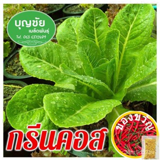 เมล็ดอวบอ้วน100%，ไทยในสต็อกพร้อมส่งเมล็ดผักสลัด กรีนคอส 100 seed (ซื้อ10 แถม1) / เมล็ดพันธุ์ / เมล็ดพันธุ์พืช / เมล็ดผัก