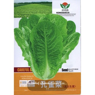 เมล็ดพันธุ์ กรีนคอส (Green Cos Lettuce) บรรจุ 3000 เมล็ด