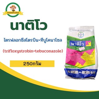 🔺 นาติโว (trifloxystrobin + tebuconazole) ไตรฟลอกซีสโตรบิน + ทีบูโคนาโซล