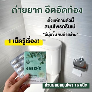 [🔥ส่งฟรีมีโค้ดลดเพิ่ม] Greene Detox กรีนเน่ ดีท็อกซ์ ลำไส้ ขับถ่าย ลดพุง ลด น้ำหนักปลอดภัย ไม่มีผลข้างเคียง