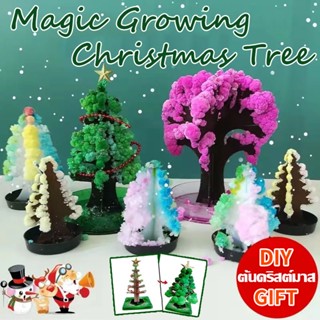 🎄พร้อมส่ง🎄ต้นคริสต์มาส ต้นไม้วิทยาศาสตร์ ของเล่น Magic Growing Christmas Tree ของขวัญคริสต์มาส