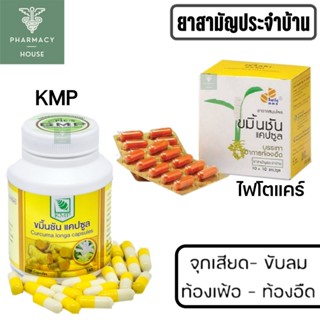 ขมิ้นชัน ขมิ้นชันแคปซูล / ไฟโตแคร์ / KMP