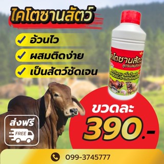 📮 ส่งฟรี ‼️🔥หงส์ทองไคโตซาน (ฝาสีแดง) 🔥 เร่งโต อ้วนไว ผสมติดง่าย เป็นสัดชัดเจน เช็ต 1 ขวด บรรจุ 1 ลิตร 390 บาท