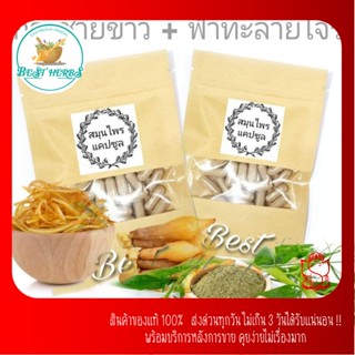 ฺBestherbs ผงกระชาย + ฟ้า สมุนไพรแห้งบดอัด คู่หูเสริมภูมิ ซองละ 100 แคป ปริมาณ 250mg.