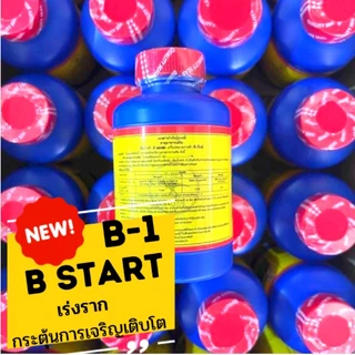 B1 น้ำยาเร่งราก ขนาด 100 500 cc. เร่งราก เเคคตัส กระบองเพชร ต้นไม้ทุกชนิด บำรุงราก