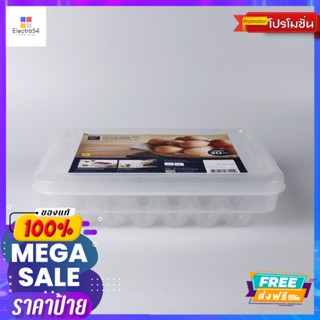 กล่องเก็บบรรจุไข่ 30 ฟอง #6111EGG BOX 30 PCS #6111