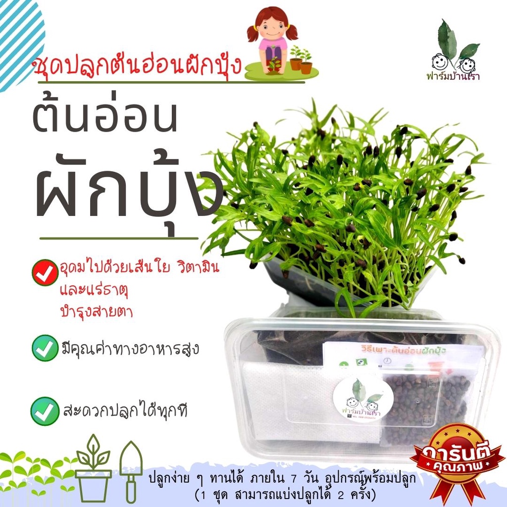 ชุดปลูกต้นอ่อนทานตะวัน ชุดเพาะ ชุดไมโครกรีนปลูกต้นอ่อน ปลูกง่าย ทานได้ ภายใน 7 วัน อุปกรณ์พร้อมปลูก (1 ชุดปลูกได้2ครั้ง)