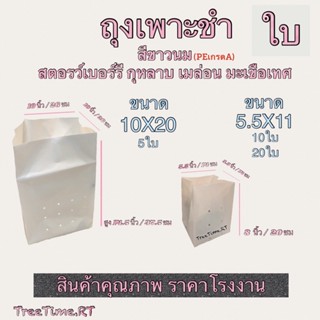 ถุงเพาะชำ PE สีขาวนม 5.5X11” 10X20” (ขายเป็นใบ) เนื้อPE เหนียวกว่า ทนกว่า ใช้ได้นานกว่า เนื้อHD (ใบ)