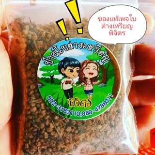 เมล็ดพันธุ์ใบต่างเหรียญ