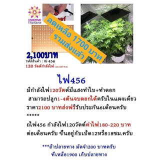 ไฟ456-ไฟled-ไฟ120วัตต์กำลังไฟ