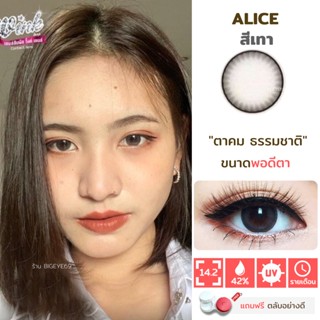 ไม่แถมตลับ Alice Gray (มินิ) คอนแทคเลนส์ Wink