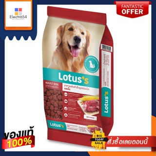 โลตัส อาหารสุนัขโต รสเนื้อ 10กก.LOTUSS ADULT DOG FOOD BEEF FLAVOUR 10KG