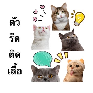 ตัวรีดติดเสื้อ แผ่นฟิล์มติดเสื้อ Cat.01 พร้อมส่ง!!!