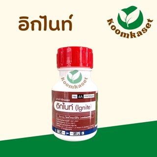 อิกไนท์✨ (โคลไทอะนิดิน 60%) ฤทธิ์แรง เขียวนาน กำจัดเพลี้ยไฟ ขนาด 50 ซีซี FMC อิกไน้ท์ อิ๊กไน้ท์