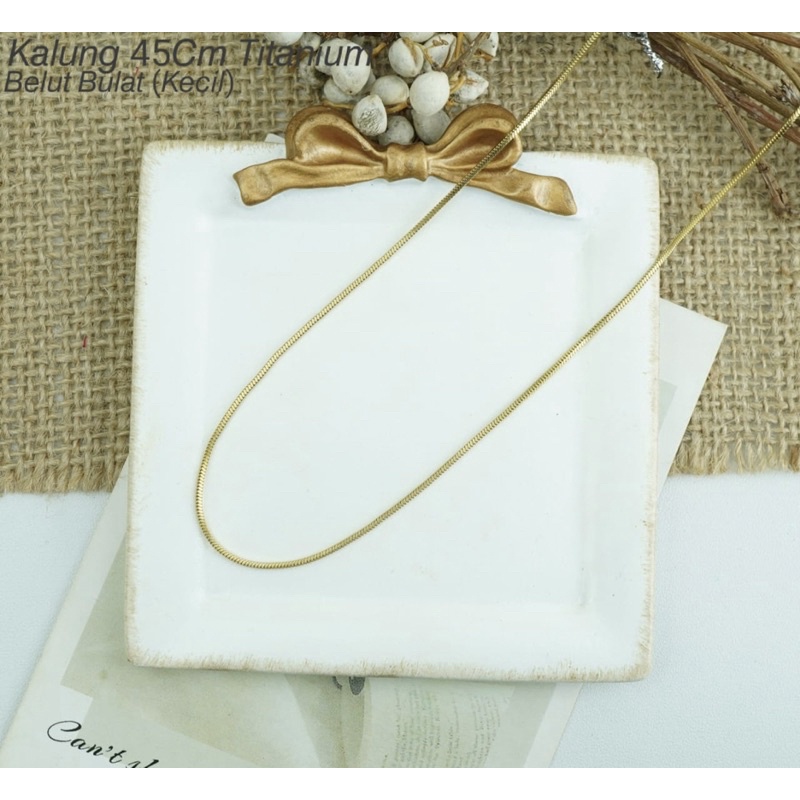 สร้อยคอโซ่กลม TITANIUM EEL