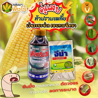 🌽 คู่แสบ ปราบเพลี้ย นูดิโลทริน+จีม่า (แลมป์ดา-ไซฮาโลทริน+อีมาเมกติน) 1ลิตร+100กรัม ปราบเพลี้ย กำจัดหนอน ตัดวงจรไข่