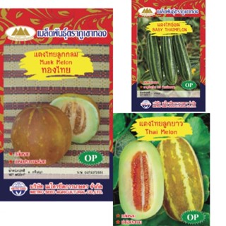 เมล็ดแตงไทย (Thai Melon) กลิ่นหอม รสชาติอร่อย